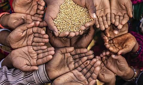 Monthly Ration Distribution – Family Food Security gallery 1